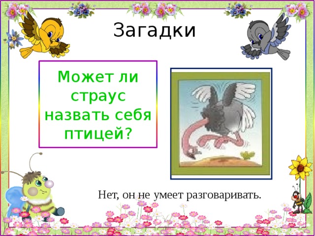 Говорящий загадки не знаю. Загадка может ли страус назвать себя птицей. Может ли страус назвать себя птицей ответ на загадку. Страус может назвать с. Разговаривает загадками.