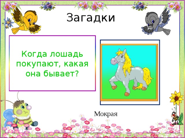 Загадка конь. Когда лошадь покупают какая она бывает ответ. Какой бывает лошадь когда ее покупают загадка. Когда коня покупают каким он бывает. Загадка какая бывает лошадь когда.