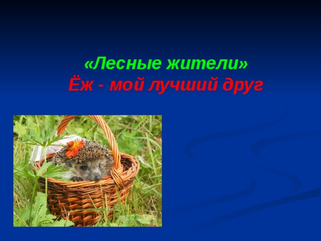 «Лесные жители» Ёж - мой лучший друг 
