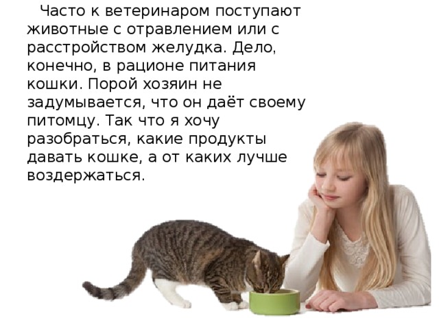  Часто к ветеринаром поступают животные с отравлением или с расстройством желудка. Дело , конечно, в рационе питания кошки. Порой хозяин не задумывается, что он даёт своему питомцу. Так что я хочу разобраться, какие продукты давать кошке, а от каких лучше воздержаться. 
