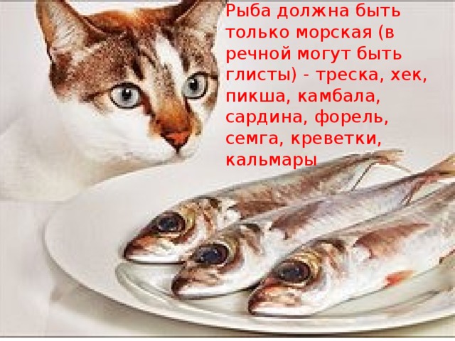 Рыба должна быть только морская (в речной могут быть глисты) - треска, хек, пикша, камбала, сардина, форель, семга, креветки, кальмары 
