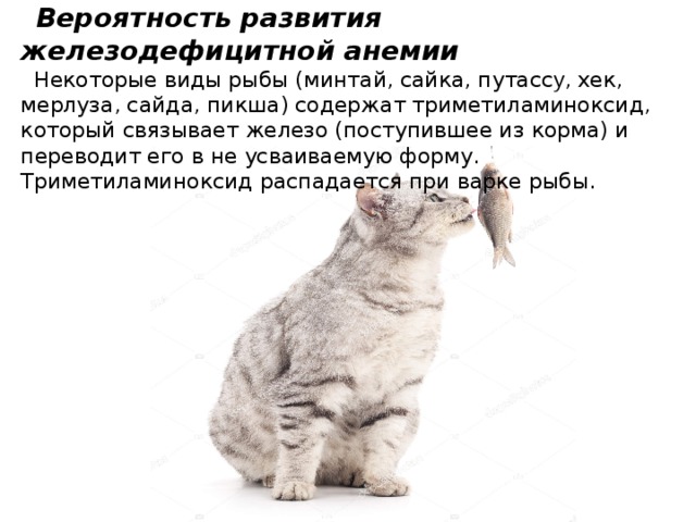  Вероятность развития железодефицитной анемии    Некоторые виды рыбы (минтай, сайка, путасс у , хек, мерлуза, сайда, пикша) содержат триметиламиноксид, который связывает железо (поступившее из корма) и переводит его в не усваиваемую форму. Триметиламиноксид распадается при варке рыбы. 