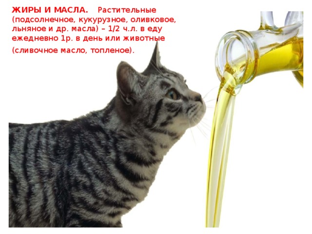 ЖИРЫ И МАСЛА.   Растительные (подсолнечное, кукурузное, оливковое, льняное и др. масла) – 1/2 ч.л. в еду ежедневно 1р. в день или животные (сливочное масло, топленое).  
