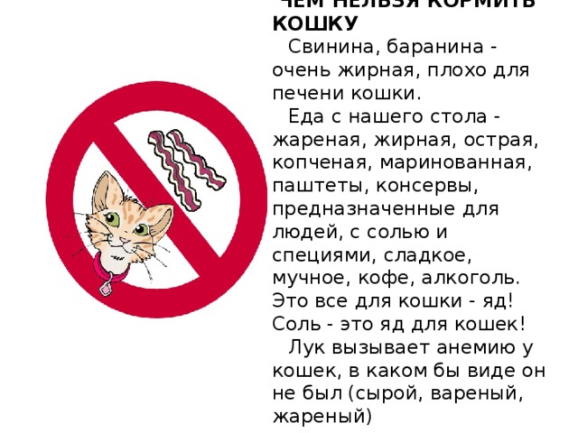  ЧЕМ НЕЛЬЗЯ КОРМИТЬ КОШКУ   Свинина, баранина - очень жирная, плохо для печени кошки.   Еда с нашего стола - жареная, жирная, острая, копченая, маринованная, паштеты, консервы, предназначенные для людей, с солью и специями, сладкое, мучное, кофе, алкоголь. Это все для кошки - яд!  Соль - это яд для кошек!   Лук вызывает анемию у кошек, в каком бы виде он не был (сырой, вареный, жареный)   