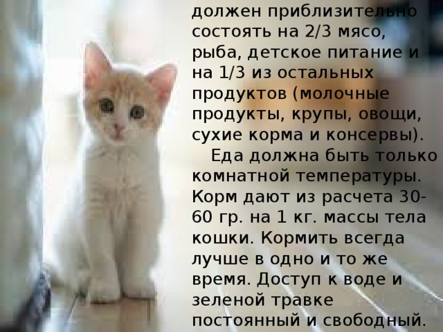 Итак, рацион кошки должен приблизительно состоять на 2/3 мясо, рыба, детское питание и на 1/3 из остальных продуктов (молочные продукты, крупы, овощи, сухие корма и консервы).  Еда должна быть только комнатной температуры. Корм дают из расчета 30-60 гр. на 1 кг. массы тела кошки. Кормить всегда лучше в одно и то же время. Доступ к воде и зеленой травке постоянный и свободный.   