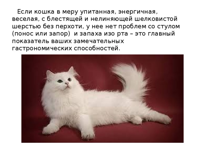  Если кошка в меру упитанная, энергичная, веселая, с блестящей и нелиняющей шелковистой шерстью без перхоти, у нее нет проблем со стулом (понос или запор)  и запаха изо рта – это главный показатель ваших замечательных гастрономических способностей. 