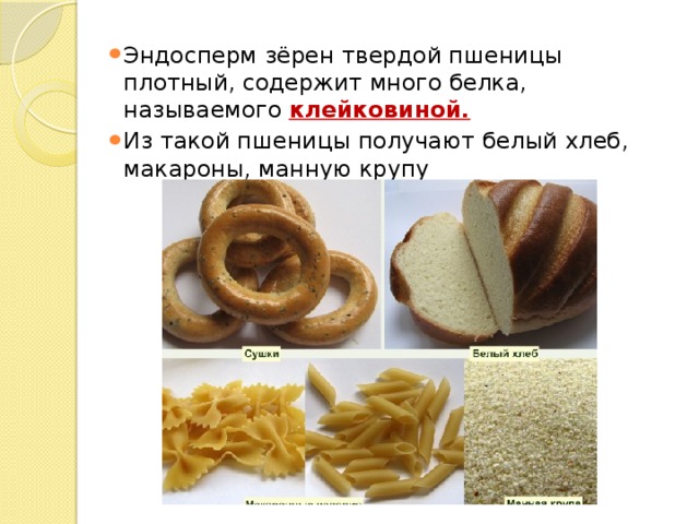 Эндосперм зёрен твердой пшеницы плотный, содержит много белка, называемого клейковиной. Из такой пшеницы получают белый хлеб, макароны, манную крупу 