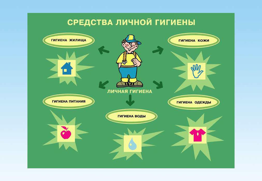 Темы для проекта по гигиене Разработка урока этики в 1 классе на тему: "Путешествие в город Чистоты и Порядк