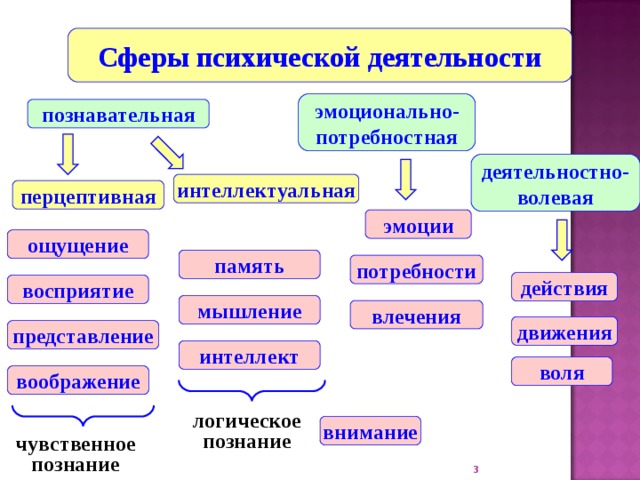 Познавательная сфера это