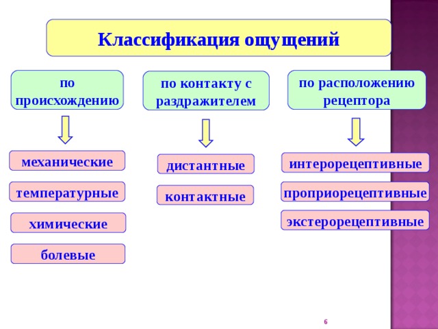 Дистантные ощущения. Классификация тепловых ощущений. Классификация раздражителей. Классификация ощущений в психологии. Ощущения по происхождению.