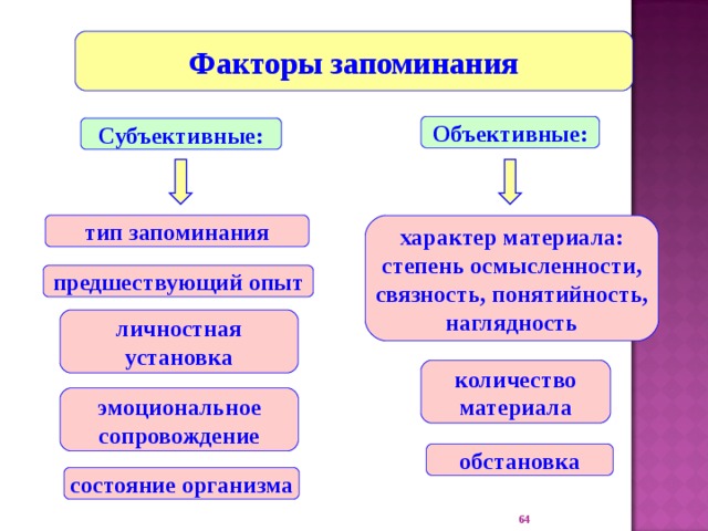 Виды запоминания