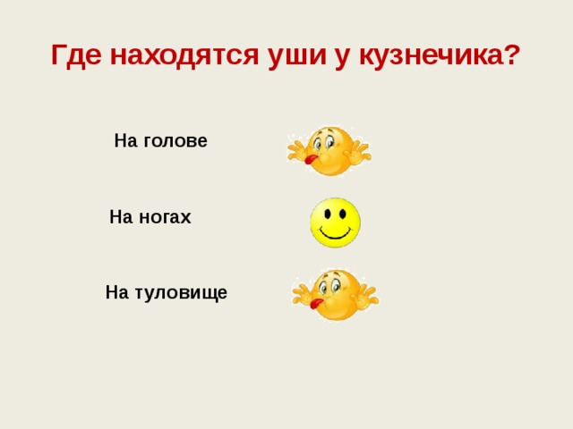 Где находятся уши у кузнечика? На голове На ногах На туловище 