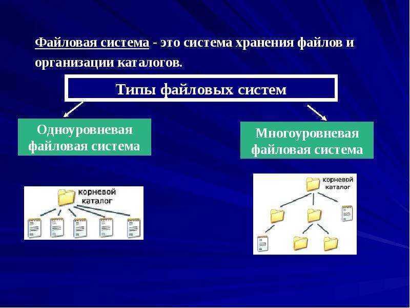 Файлы и файловые структуры 7 класс картинки