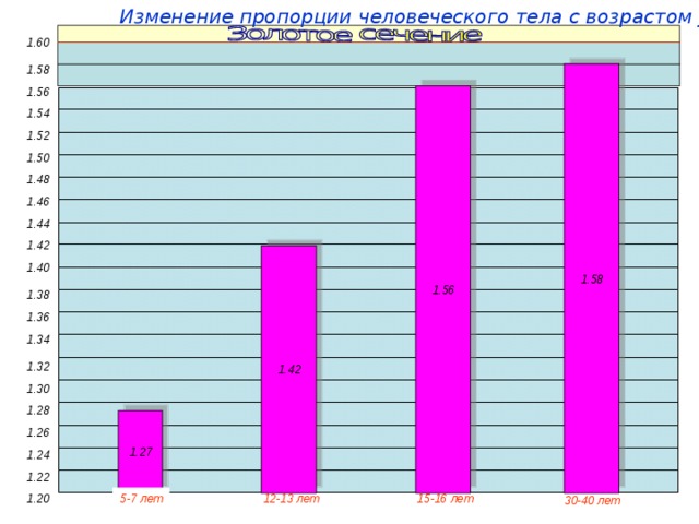 Изменение пропорции человеческого тела с возрастом у женщин: 1.60 1.58 1.58 1.56 1.56 1.54 1.52 1.50 1.48 1.46 1.44 1.42 1.42 1.40 1.38 1.36 1.34 1.32 1.30 1.28 1.27 1.26 1.24 1.22 1.20 5-7 лет 12-13 лет 15-16 лет 30-40 лет 