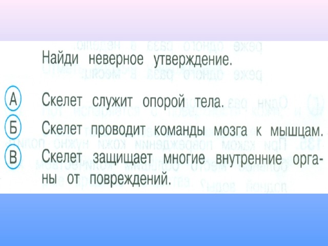 2 неверных утверждения. Неверное утверждение скелет служит опорой тела. Скелет проводит команды мозга к мышцам. Найди неверное утверждение. Найди неверное утверждение окружающий мир 3 класс.