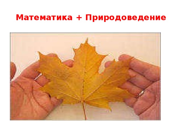 Математика + Природоведение 