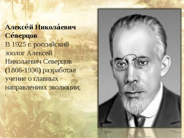 Алексе́й Никола́евич Се́верцов   В 1925 г. российский зоолог Алексей Николаевич Северцов (1866-1936) разработал учение о главных направлениях эволюции; .
