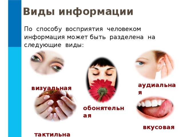 Виды информации По способу восприятия человеком информация может быть разделена на следующие виды:  визуальная  аудиальная  обонятельная  тактильная  вкусовая 
