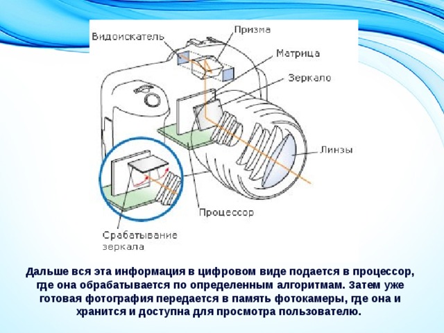 Грамота фотокомпозиции и съемки 8 класс презентация