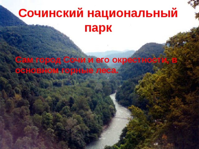 Сочинский национальный парк Сам город Сочи и его окрестности, в основном горные леса. 
