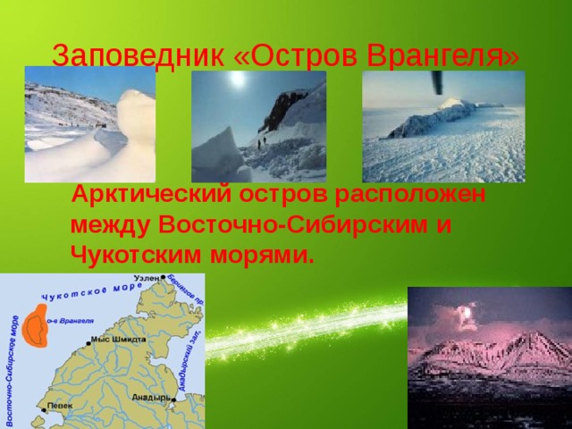 Заповедник «Остров Врангеля» Арктический остров расположен между Восточно-Сибирским и Чукотским морями. 