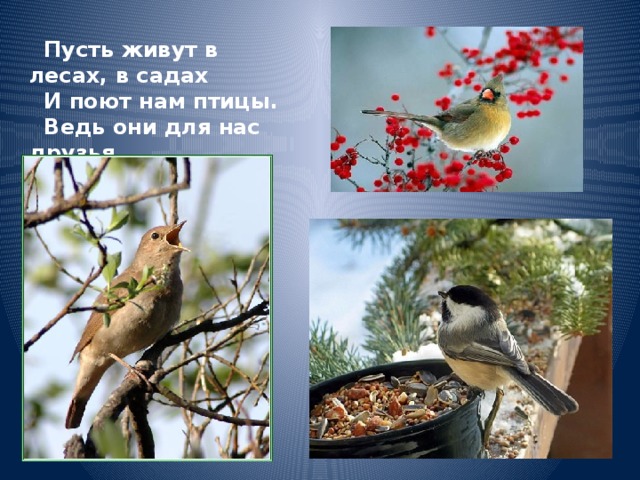   Пусть живут в лесах, в садах  И поют нам птицы.  Ведь они для нас друзья  Соловьи, грачи, синицы . 