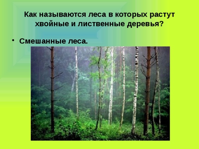 Как называются леса в которых растут хвойные и лиственные деревья? Смешанные леса. 