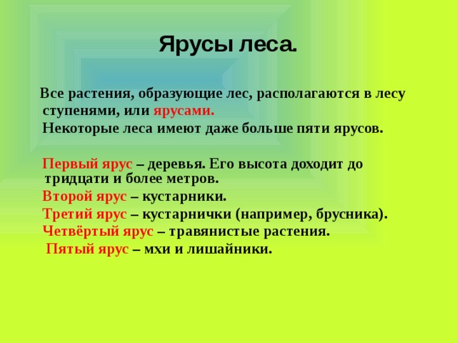 Ярусы леса.  Все растения, образующие лес, располагаются в лесу  ступенями, или ярусами.   Некоторые леса имеют даже больше пяти ярусов.   Первый ярус – деревья. Его высота доходит до тридцати и более метров.  Второй ярус – кустарники.  Третий ярус – кустарнички (например, брусника).  Четвёртый ярус – травянистые растения.  Пятый ярус – мхи и лишайники.   