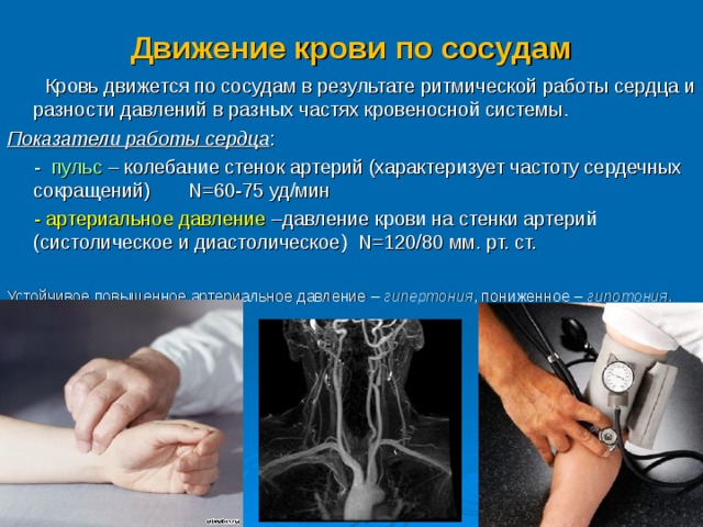 Колебание стенок артерий. Движение крови по сосудам пульс. Движение крови по сосудам вывод. Пульс ритмические колебания вен. Кровь движется по сосудам в результате.