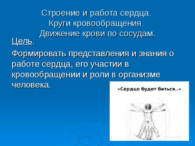 Строение и работа сердца круги кровообращения презентация