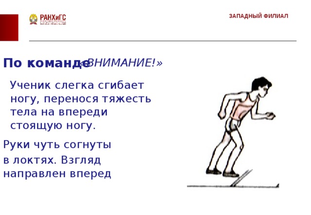 Впереди стоящий. Переносим тело на согнутых руках. По команде внимание слегка согнуть ноги. При отталкивании руки согнуты в локтях и направлены…?. Впередистоящий или впереди стоящий.