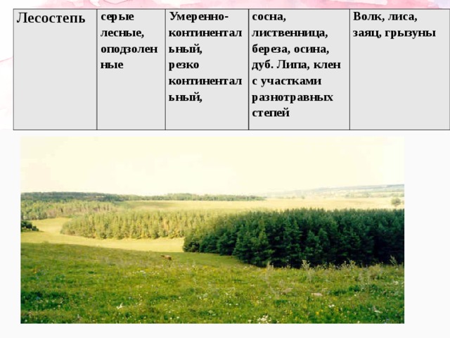 Природные зоны лесостепи и степи таблица