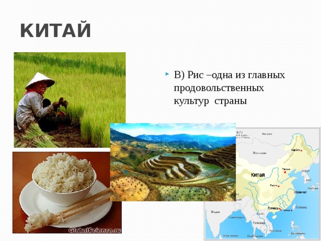 КИТАЙ В) Рис –одна из главных продовольственных культур страны 