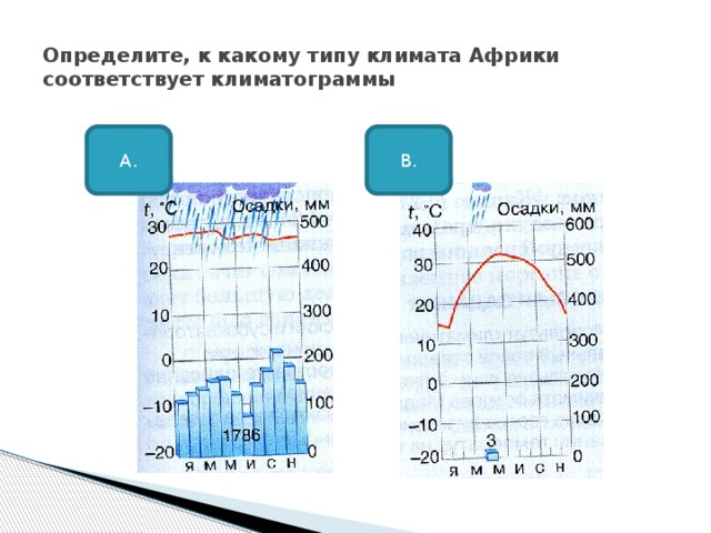 Определите, к какому типу климата Африки соответствует климатограммы А. В. 