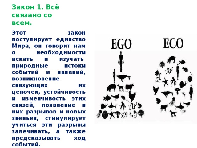 Все связано со всем. Закон все связано со всем. Все связано со всем картинки. Закон 1 все связано со всеми. 1 Закон все связано со всем примеры.