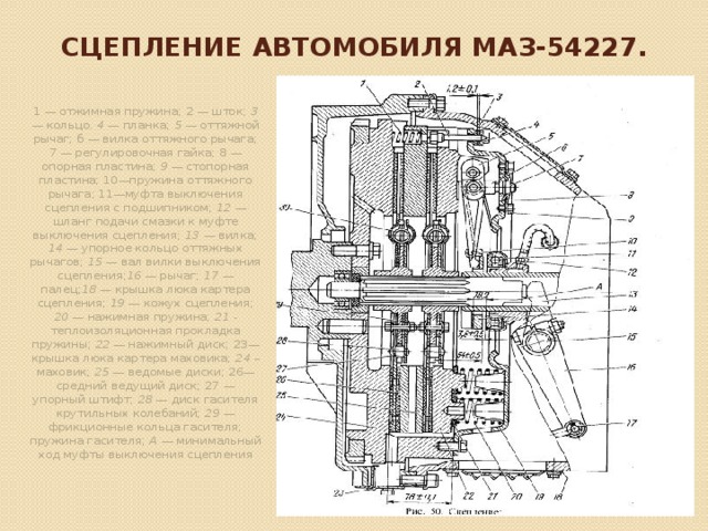Сцепление автомобиля МАЗ-54227.   1 — отжимная пружина; 2 — шток; 3 — кольцо. 4 — планка; 5 — оттяжной рычаг; б — вилка оттяжного рычага; 7 — регулировочная гайка; 8 — опорная пластина; 9 — стопор­ная пластина; 10—пружина оттяжного рычага; 11—муфта выключения сцепления с подшипником; 12 — шланг подачи смазки к муфте выключения сцепления; 13 — вилка; 14 — упорное кольцо оттяжных рычагов; 15 — вал вилки выключения сцепле­ния; 16 — рычаг; 17 — палец; 18 — крышка люка картера сцепления; 19 — кожух сцепле­ния; 20 — нажимная пружина; 21 - теплоизоляционная прокладка пружины; 22 — нажим­ный диск; 23—крышка люка картера маховика; 24 –маховик; 25 — ведомые диски; 26—средний ведущий диск; 27 — упорный штифт; 28 — диск гасителя крутильных колебаний; 29 — фрикционные кольца гасителя; пружина гасителя; А — минимальный ход муфты выключения сцепления 