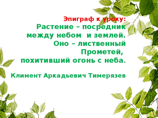 Презентация к уроку цветок на земле 3 класс