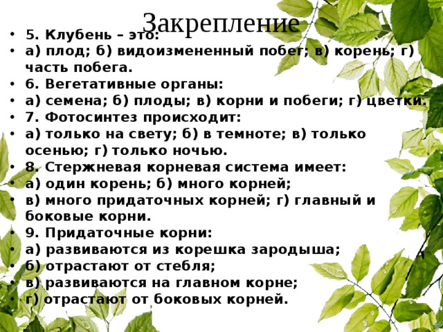 Закрепление 5. Клубень – это: а) плод; б) видоизмененный побег; в) корень; г) часть побега. 6. Вегетативные органы: а) семена; б) плоды; в) корни и побеги; г) цветки. 7. Фотосинтез происходит: а) только на свету; б) в темноте; в) только осенью; г) только ночью. 8. Стержневая корневая система имеет: а) один корень; б) много корней; в) много придаточных корней; г) главный и боковые корни. 9. Придаточные корни: а) развиваются из корешка зародыша; б) отрастают от стебля; в) развиваются на главном корне; г) отрастают от боковых корней.  
