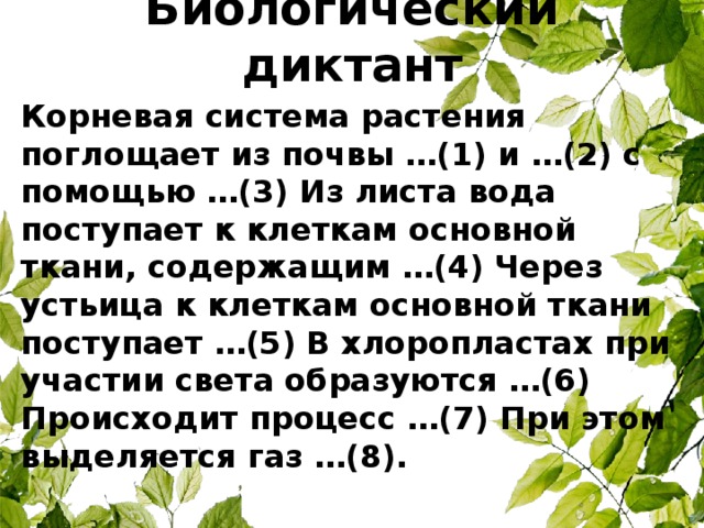Биологический диктант   Корневая система растения поглощает из почвы …(1) и …(2) с помощью …(3) Из листа вода поступает к клеткам основной ткани, содержащим …(4) Через устьица к клеткам основной ткани поступает …(5) В хлоропластах при участии света образуются …(6) Происходит процесс …(7) При этом выделяется газ …(8).  