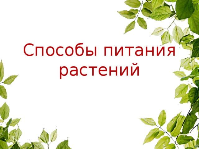 Способы питания растений 