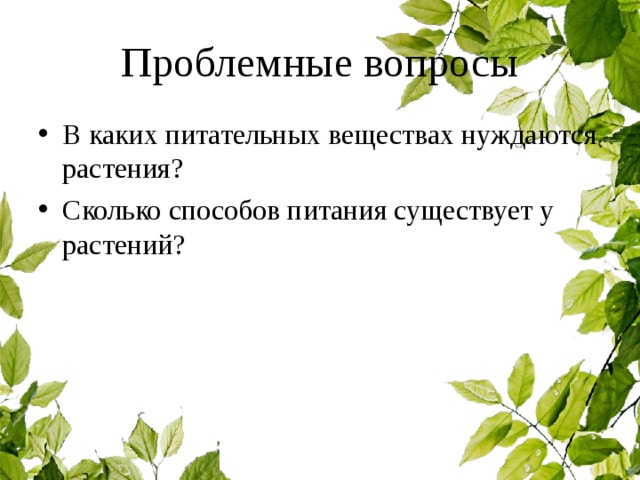 Проблемные вопросы В каких питательных веществах нуждаются растения? Сколько способов питания существует у растений?  