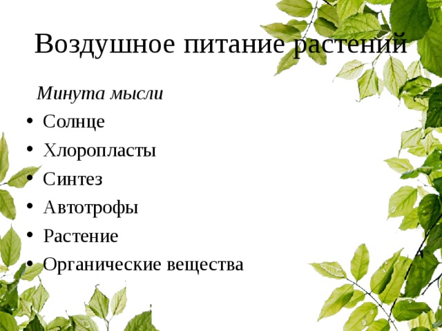 Воздушное питание растений  Минута мысли Солнце Хлоропласты Синтез Автотрофы Растение Органические вещества 