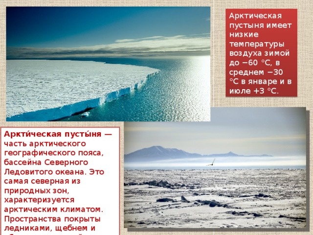 Арктические пустыни температура осадки