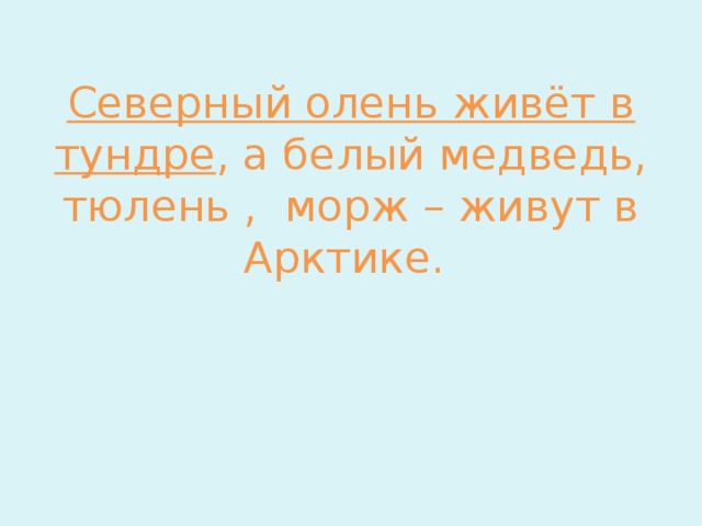Северный олень живёт в тундре , а белый медведь, тюлень , морж – живут в Арктике. 