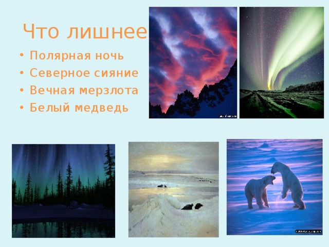 Что лишнее? Полярная ночь Северное сияние Вечная мерзлота Белый медведь 