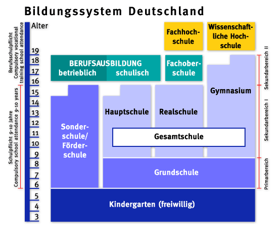 Mein studium презентация