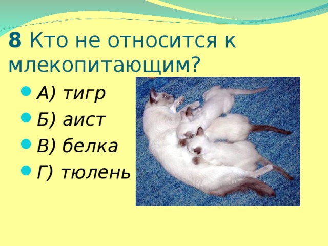 8 Кто не относится к  млекопитающим?   А) тигр Б) аист В) белка Г) тюлень  