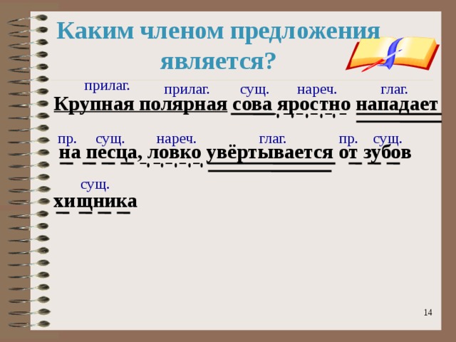 Каким членом предложения является? прилаг. сущ. глаг. нареч. прилаг. Крупная полярная сова яростно нападает   на песца, ловко увёртывается от зубов  хищника сущ. пр. пр. сущ. нареч. глаг. сущ.  