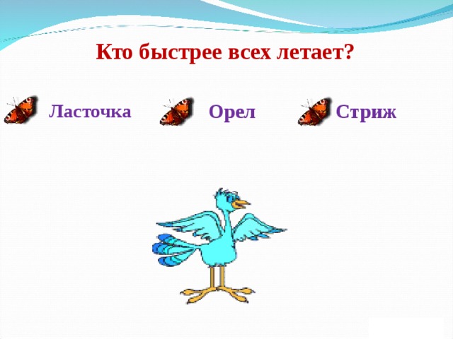 Кто быстрее. Кто быстрее всех летает. Кто быстрее всего летает. Стриж летает быстрее всех. Кто быстрей всех летает Орел,Ласточка,Стриж.