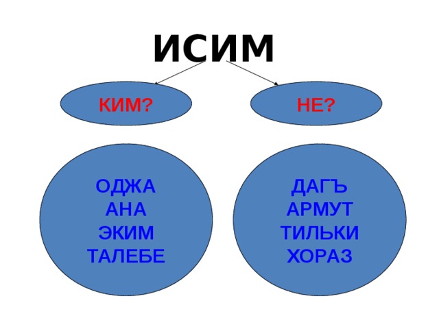 ИСИМ НЕ? КИМ? ОДЖА АНА ЭКИМ ТАЛЕБЕ ДАГЪ АРМУТ ТИЛЬКИ ХОРАЗ 